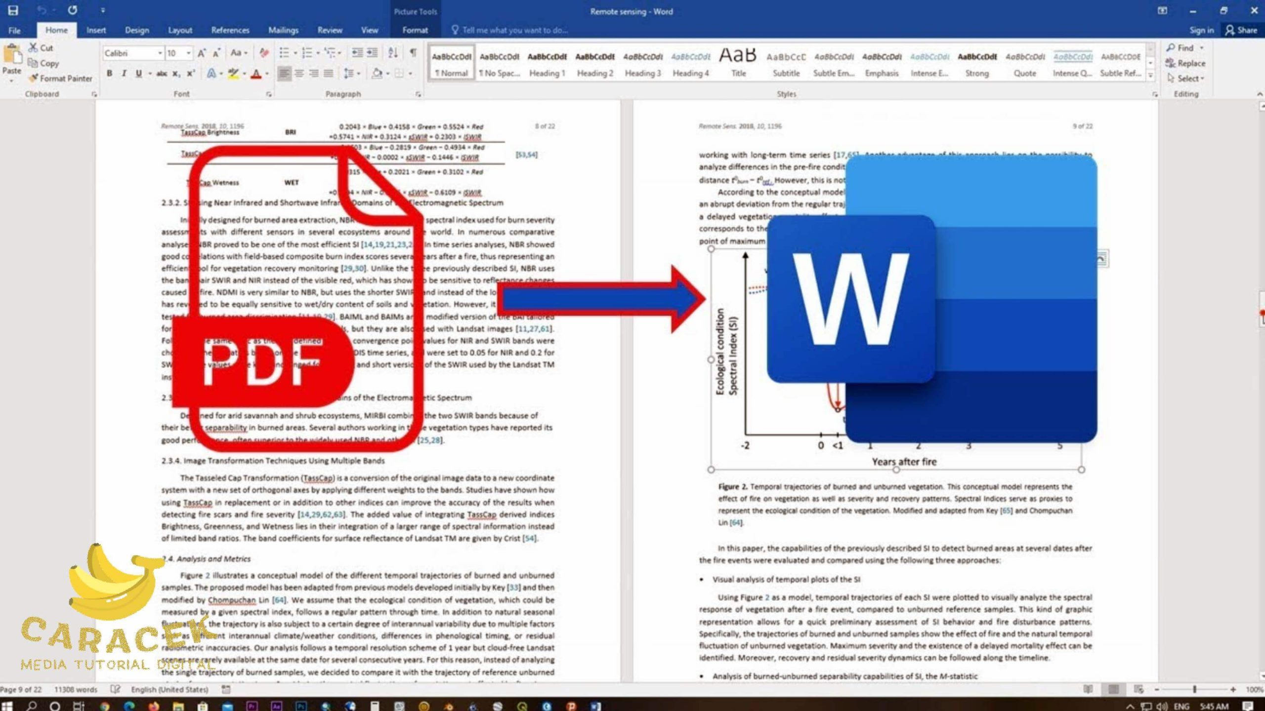 Ternyata Semudah Ini Mengubah Format PDF ke Word dan Menghapus Halaman Kosong di Word